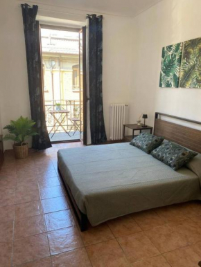 Vanchigliax2-vicino alla Mole Torino